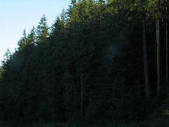 IMG_0424.JPG