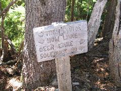 IMG_0552.JPG