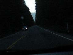 IMG_0425.JPG