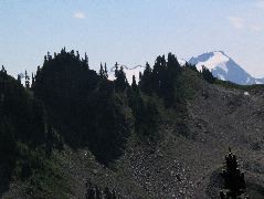 IMG_0557.JPG