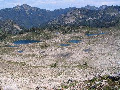 IMG_0560.JPG