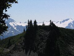 IMG_0563.JPG
