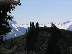 IMG_0564.JPG