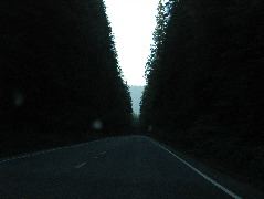 IMG_0426.JPG