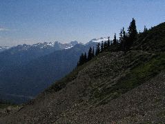IMG_0567.JPG