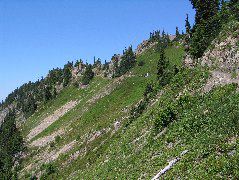 IMG_0577.JPG
