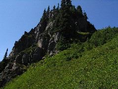 IMG_0579.JPG
