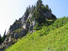 IMG_0580.JPG