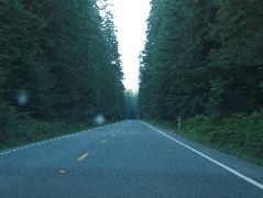 IMG_0428.JPG
