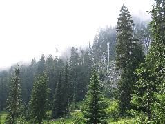 IMG_0597.JPG