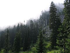 IMG_0598.JPG