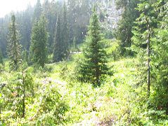 IMG_0599.JPG