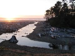 IMG_0429.JPG