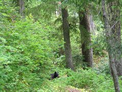 IMG_0600.JPG