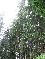 IMG_0602.JPG