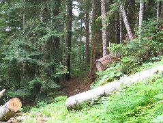IMG_0603.JPG