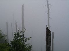 IMG_0606.JPG