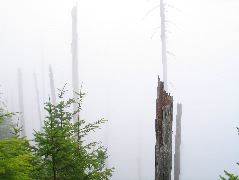 IMG_0607.JPG