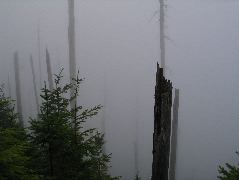 IMG_0608.JPG