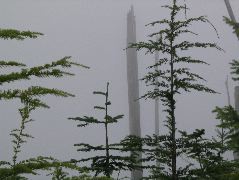 IMG_0609.JPG