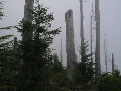 IMG_0610.JPG