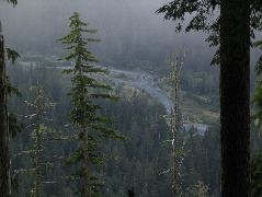 IMG_0612.JPG