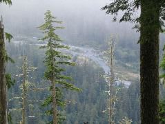 IMG_0613.JPG