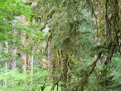 IMG_0615.JPG
