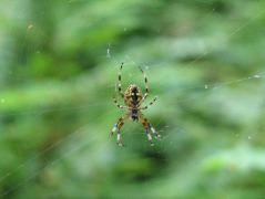 IMG_0618.JPG