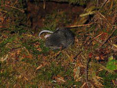 IMG_0620.JPG