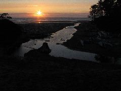IMG_0431.JPG