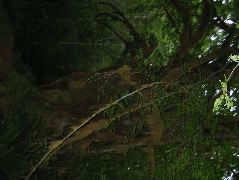 IMG_0622.JPG