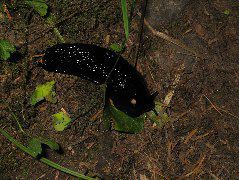 IMG_0626.JPG