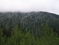 IMG_0627.JPG
