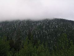 IMG_0628.JPG
