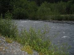 IMG_0629.JPG