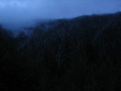 IMG_0636.JPG