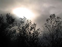 IMG_0640.JPG