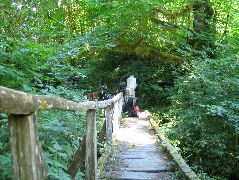 IMG_0647.JPG