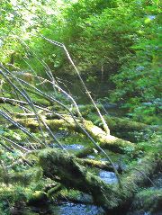IMG_0650.JPG