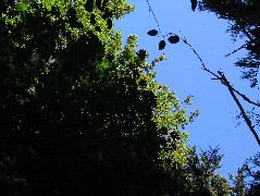 IMG_0651.JPG