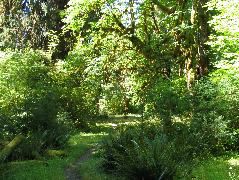 IMG_0655.JPG