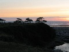 IMG_0435.JPG