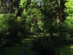 IMG_0656.JPG