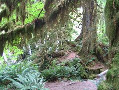 IMG_0662.JPG