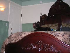 IMG_0679.JPG