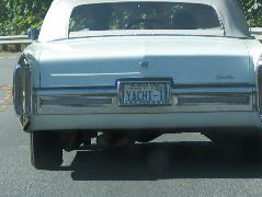 IMG_0685.JPG
