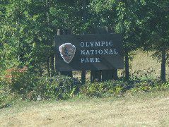 IMG_0688.JPG