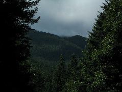 IMG_0690.JPG