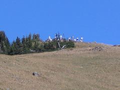IMG_0702.JPG